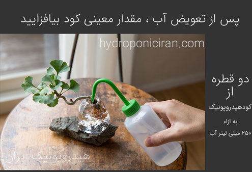 افزودن-دو-قطره-کود-هیدروپونیک-ایران-به-اکوابونسای