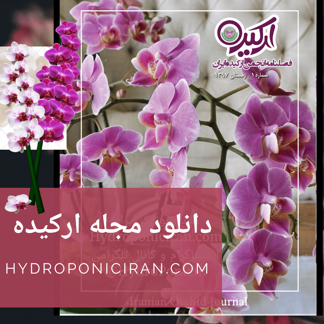 دانلود مجله انجمن ارکیده از هیدروپونیک ایران