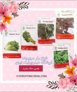 فروش انواع بذر سبزیجات در فروشگاه اینترنتی هیدروپونیک ایران