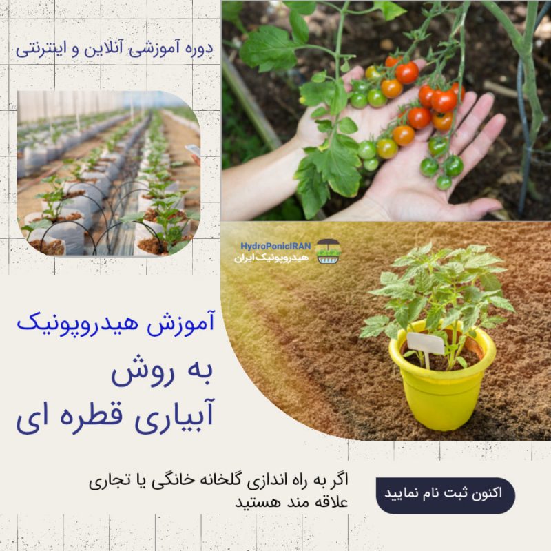 آموزش هیدروپونیک به روش آبیاری قطره ای تولید محصولات گیاهی در خانه و گلخانه